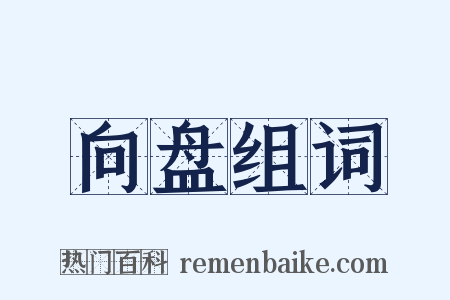 向盘组词是什么意思的图片